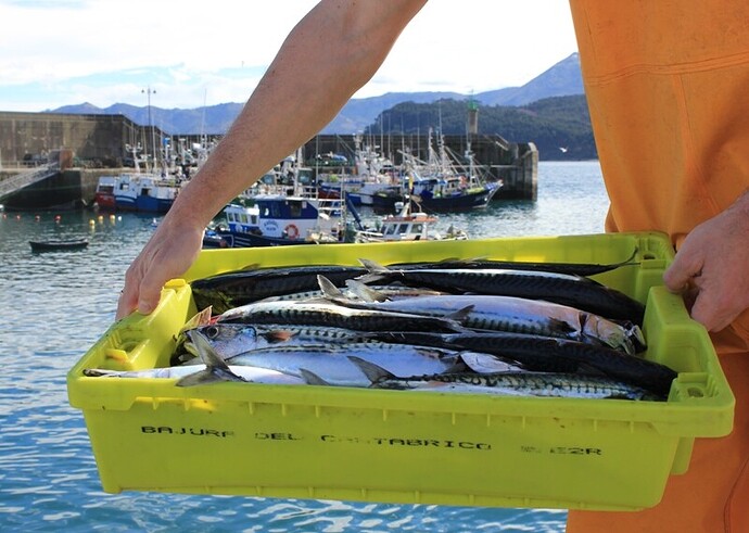 XARDA-PUERTO-DE-LASTRES-COLUNGA-ASTURIAS
